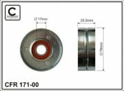 OEM PULLEY ASSY 17100