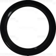 OEM SEAL RING 813865700