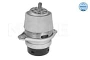 OEM Engine Mounting 1001990215