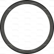 OEM SEAL KIT, CRANKSHAFT 813520610