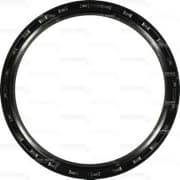 OEM SEAL RING 812311330