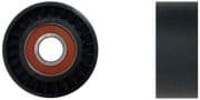 OEM PULLEY ROLLER ASSY P226011