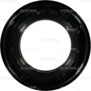 OEM SEAL RING 813939100