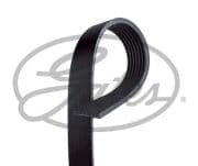 OEM BELT, V 7PK810