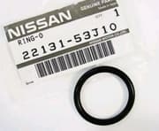 OEM RING-O 2213153J10