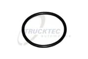 OEM O-Ring 0719039