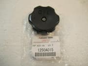 OEM COVER ASSY, PLASTIC 1250A015