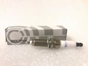 OEM SPARK PLUG 12120039634