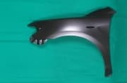 OEM FENDER COVER, MOLDING TY10219BL