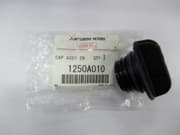 OEM CAP, OIL FILLER 1250A010