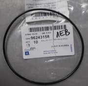 OEM SEAL FRT DIFF BRG RET O RING 96243158