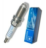 OEM SPARK PLUG 9195109