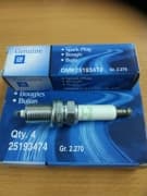 OEM SPARK PLUG 25193474