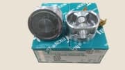 OEM PISTON ASSY 43281STD