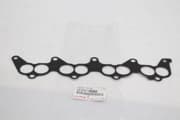 OEM GASKET, INTAKE 1717116060