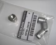 OEM NUT, METAL 40780JA01B