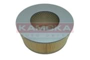 OEM FILTER ASSY, AIR ELEMENT F215901