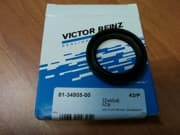 OEM SEAL RING 813480500