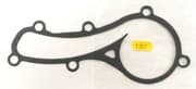 OEM GASKET-WATER PU 210149F600