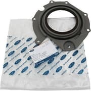 OEM SEAL RING 1810619