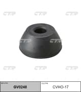 OEM BUSHING, STRUT CVHO17