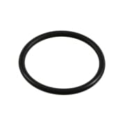 OEM O-RING FILTER 21065