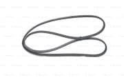 OEM Ribbed V - Belt 1987947807