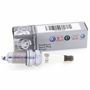 OEM SPARK PLUG 101905617