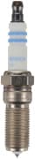 OEM SPARK PLUG 0242230508