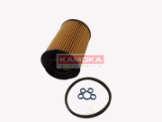 OEM FILTER ASSY, FUEL PUMP F304701