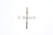 OEM SPARK PLUG 0250202130