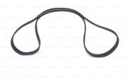 OEM RIBBED V BELT-1(E82)3(E90,E91 1987947565