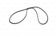 OEM RIBBED V BELTS-RENAULT 1987947844