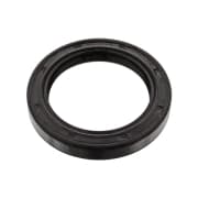 OEM SEAL RING 06174