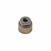 OEM SEAL KIT, VALVE STEM OIL BV4710E0