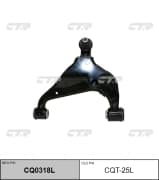 OEM ARM ASSY, SUSPENSION CQT25L