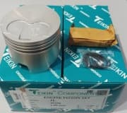 OEM PISTON 100 3L 46256100