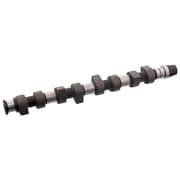 OEM ENGINE CAMSHAFT 10009