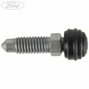 OEM SCREW - BLEED 4535318