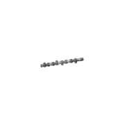 OEM CAMSHAFT 10006