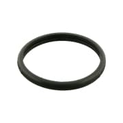 OEM O-RING F. THERMOSTAT 10260