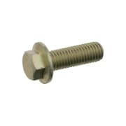 OEM SCREW 24362