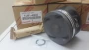 OEM PISTON SUB-ASSY, 1310146091