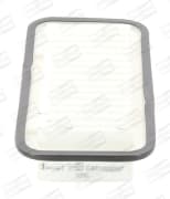 OEM FILTER ASSY, AIR ELEMENT CAF100809P