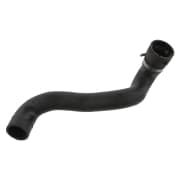 OEM HOSE,RADIATOR-W220 36146