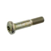 OEM BOLT, METAL 50924391