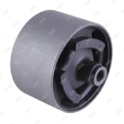 OEM BUSHING, SUSPENSION ARM BE22006