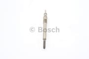 OEM SPARK PLUG 0250202042