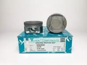 OEM PISTON ASSY 44350050