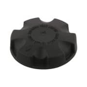 OEM CAP, OIL FILLER 36737